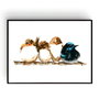 Family Portrait - Pictura Originala in Acuarela - Nature & Colors Collection