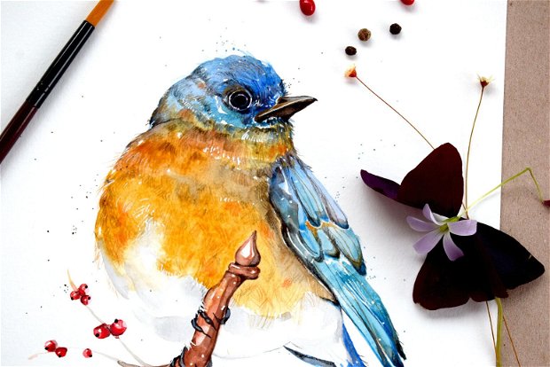 Blue Robin - Pictura Originala in Acuarela, Tablou - Birds Collection