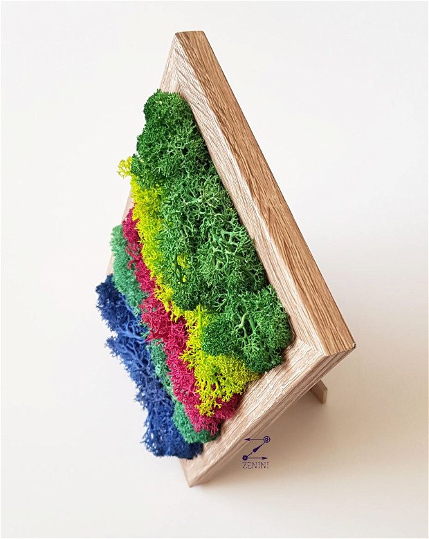 Tablou licheni colorati, rama licheni, decor licheni, decoratiune licheni colorati