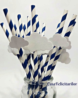 Set paie decorate cu norisor