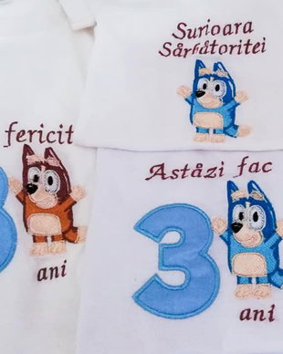 Set Tricouri aniversare cu Bingo si Bluey