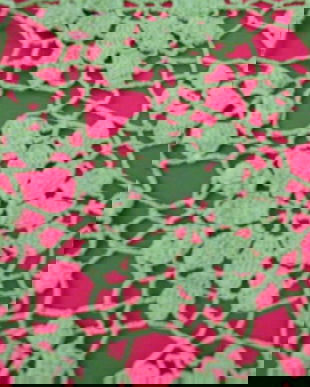 Mileu verde pt aplicatii