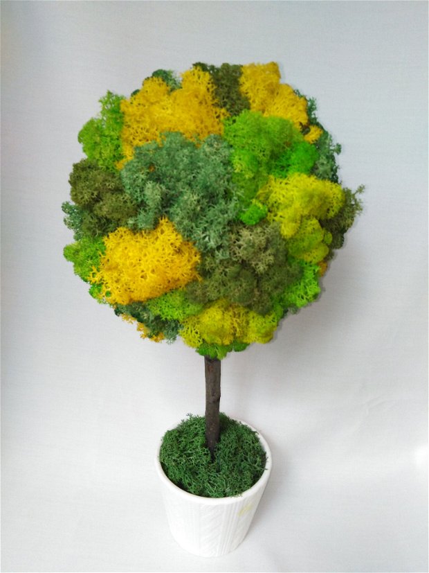 Copac verde licheni