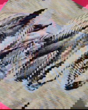 Husa perna decorativa