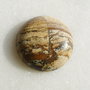 Cabochon 4 landscape jasper aprox 25x7 mm