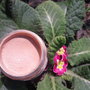 BB Cream SPF30 cu morcovi, catina si pigmenti naturali