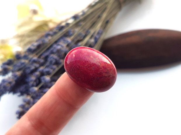Cabochon coral fosilizat