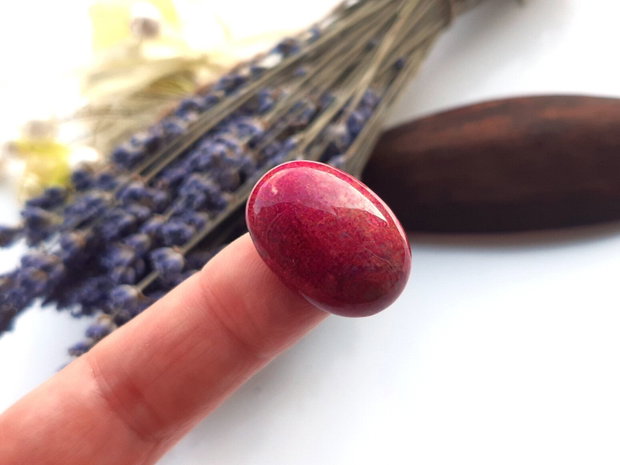 Cabochon coral fosilizat