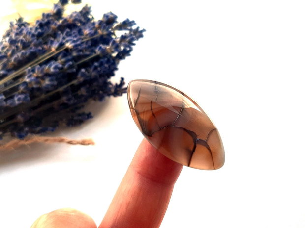 Cabochon agat