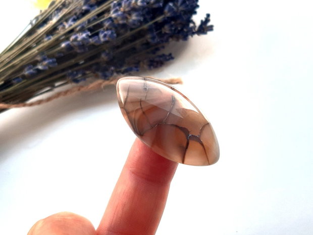 Cabochon agat