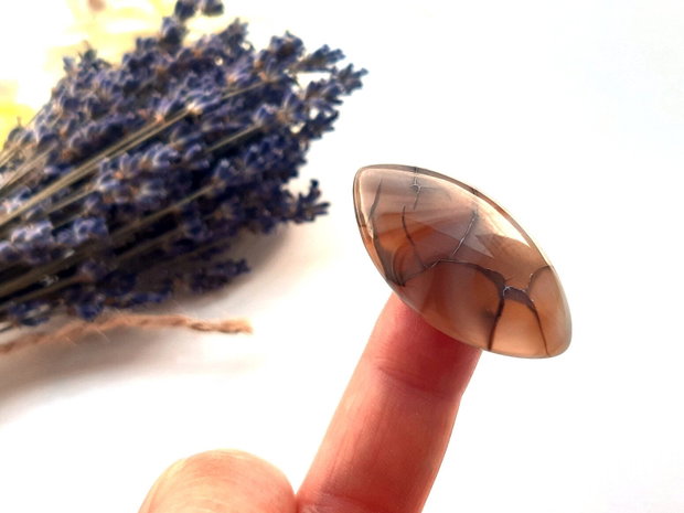 Cabochon agat