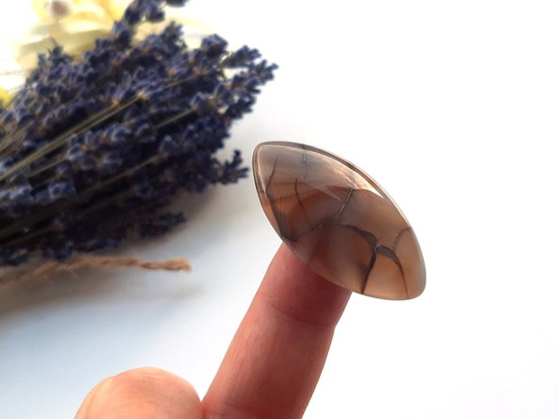 Cabochon agat