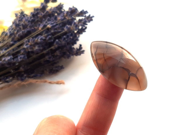 Cabochon agat