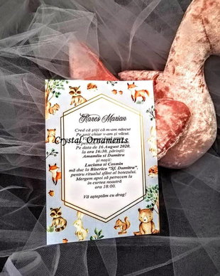 Invitatie botez jungle