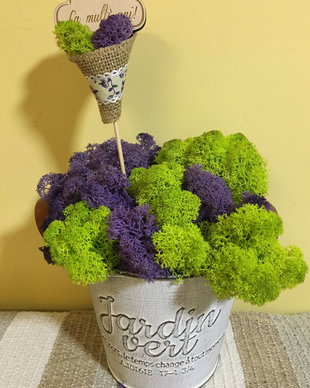 Decoratiune licheni stabilizati