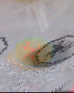 BROSA PORTELAN VINTAGE  GERMANIA , ANII  60 ,  LUCRATA MANUAL