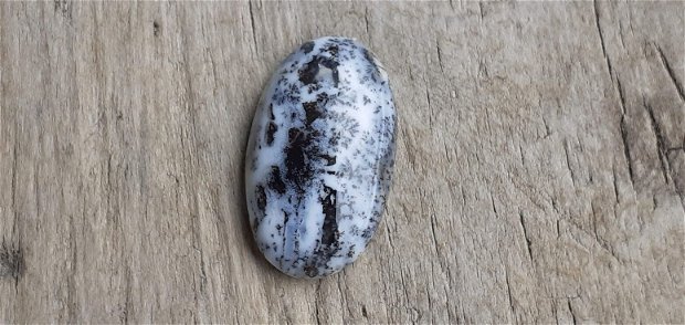 Cabochon opal dendritic, 30x17x6-7 mm