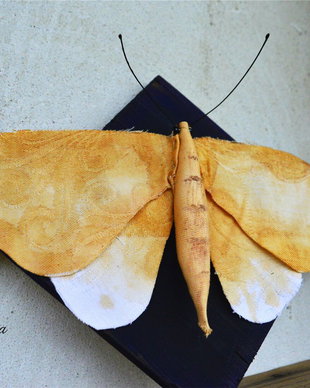 Decoratiune Moth