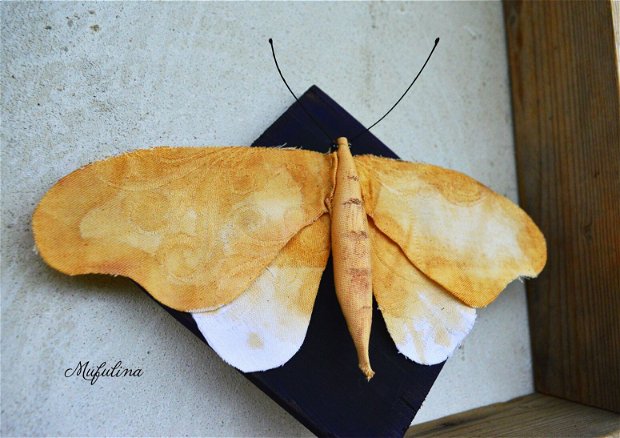 Decoratiune Moth