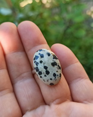Inel din Argint 925 și jasp dalmatian