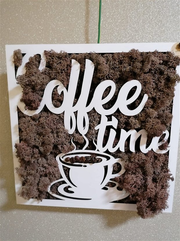 Decoratiune licheni stabilizati Coffee Time