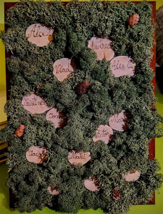Cadou arbore genealogic din licheni