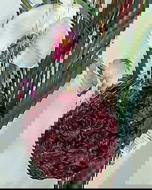 Ornamente de lux pentru Craciun