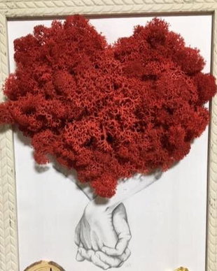 Tablou licheni # HEART#