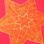 Nou-Mileu organza stea