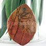 Pandantiv jasper 47x35mm (1)