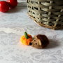 Decor/ornament `Arici cu dovleac`