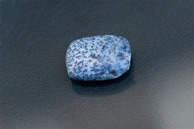Cabochon  opal dendritic - DO956