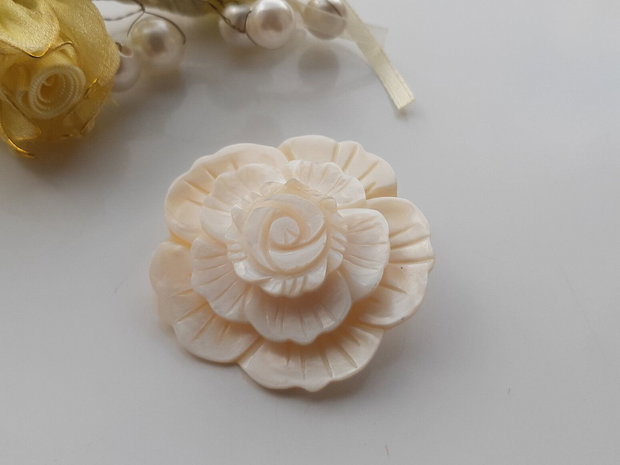 Pandant/brosa shell