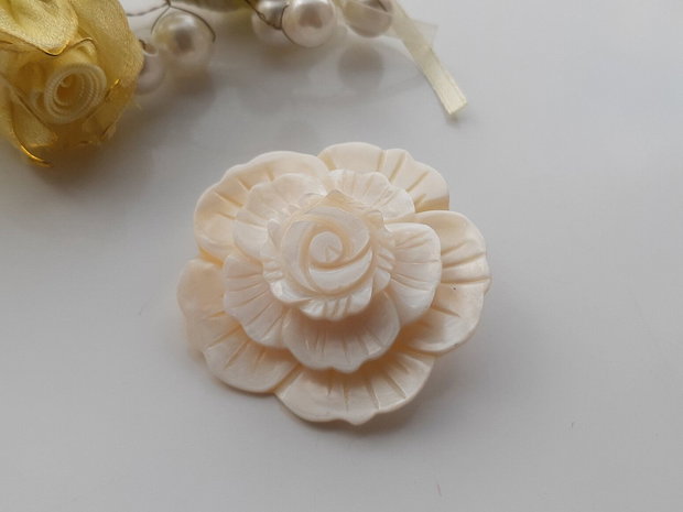 Pandant/brosa shell
