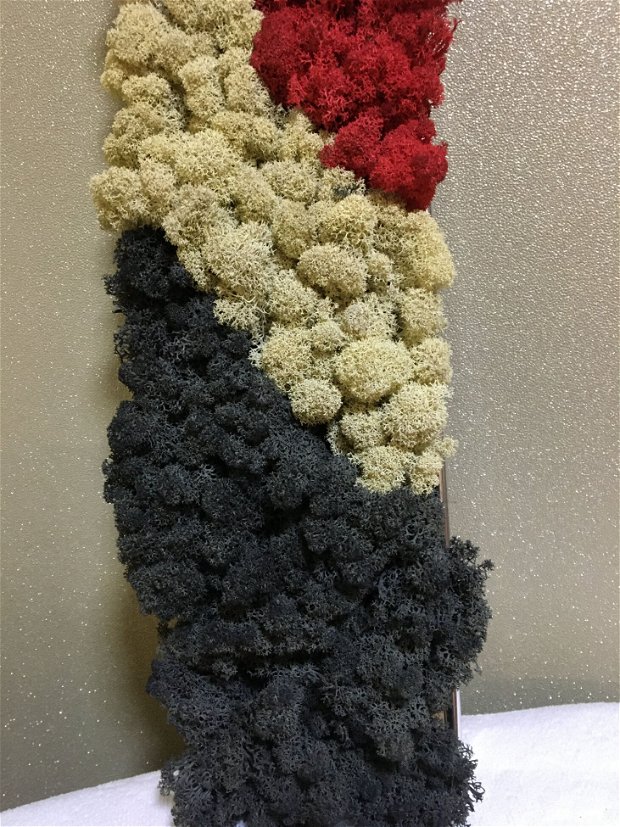 Rama licheni 3 culori