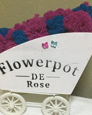 Decoratiune tip carucior bebe cu licheni