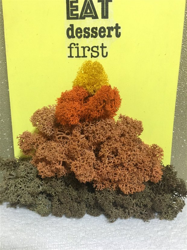 Mini-tocator decorativ cu licheni