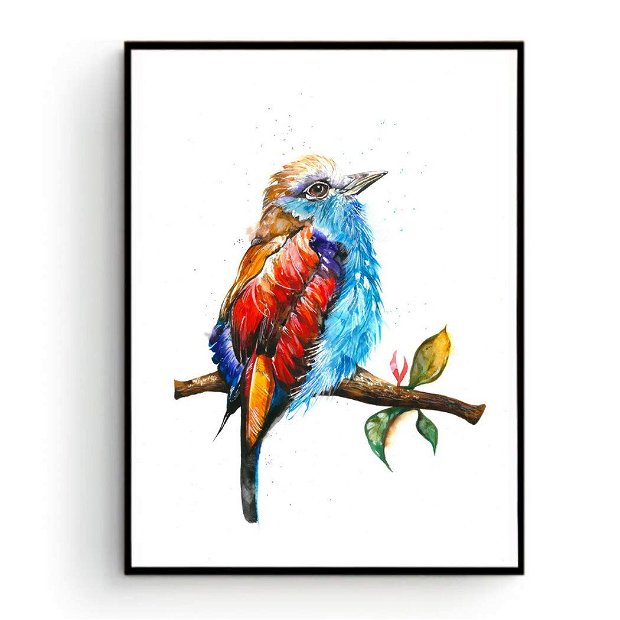 Pictura Originala in Acuarela, Tablou - Birds Collection