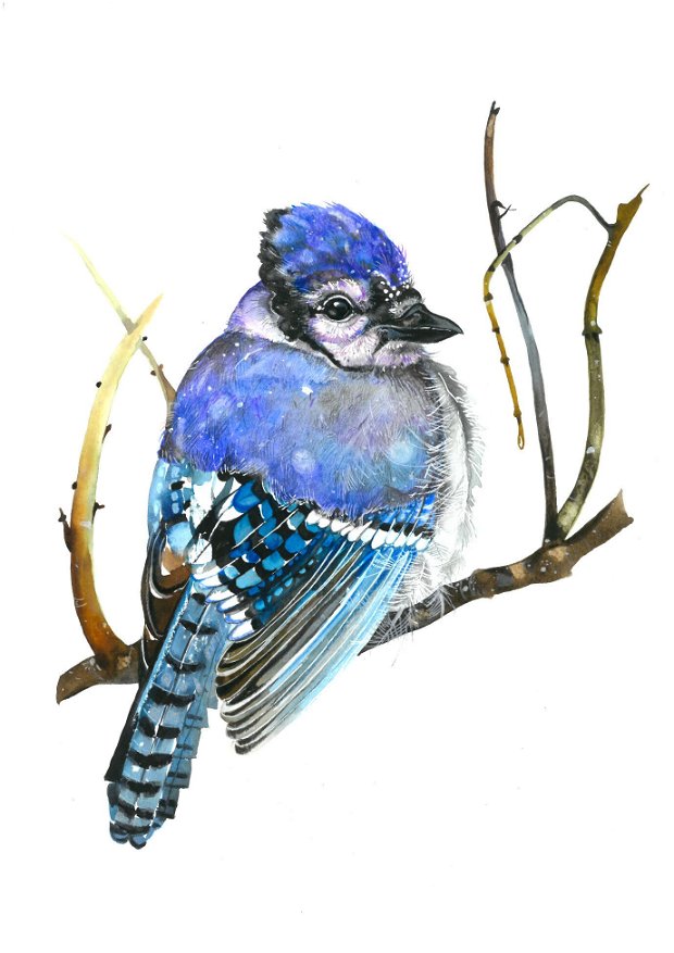 Blue Bird - Pictura Originala in Acuarela, Tablou - Birds Collection