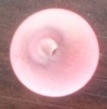 Margele sticla frostep roz 6 mm