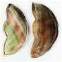 Aripi abalone shell