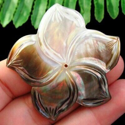 Pandant  abalone shell