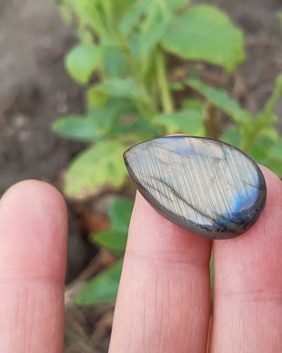 Cabochon  labradorit