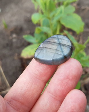Cabochon  labradorit