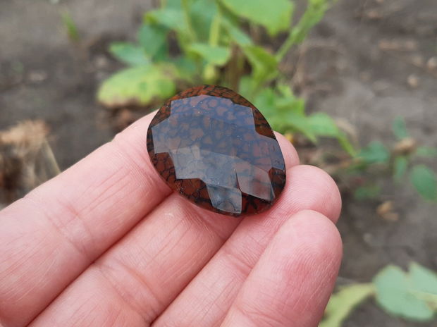 Cabochon agat dragon veins