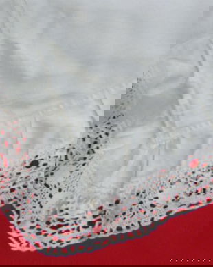 Husa perna cu dantela