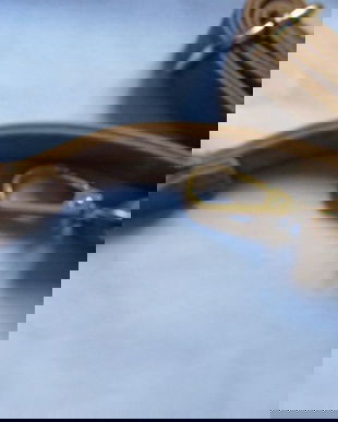 Nou-curea geanta= reglabila