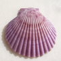 Scoica lila naturala aprox 64x60x10 mm