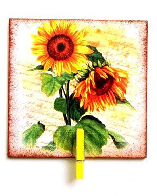 magnet frigider 37725
