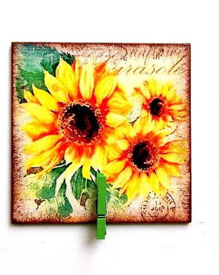 Magnet de frigider 37727